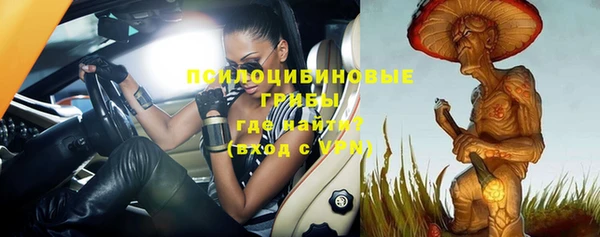 ПСИЛОЦИБИНОВЫЕ ГРИБЫ Аркадак