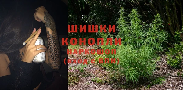 ПСИЛОЦИБИНОВЫЕ ГРИБЫ Аркадак