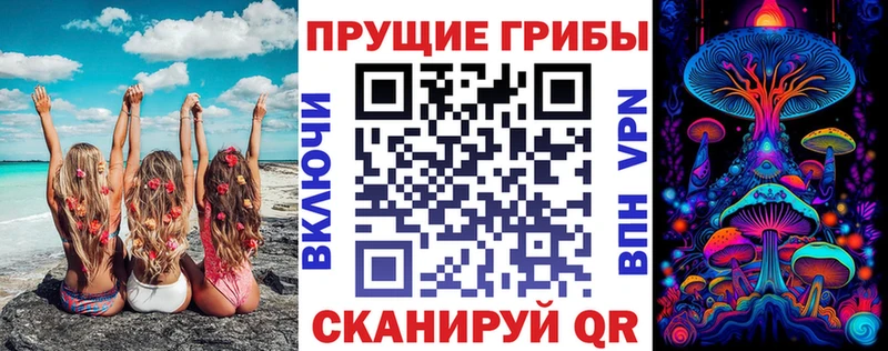 Галлюциногенные грибы Psilocybe  купить  сайты  Тара 