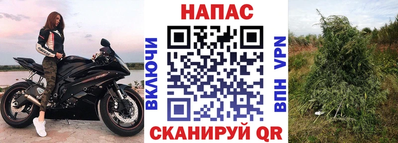 Шишки марихуана OG Kush  hydra как войти  Тара 